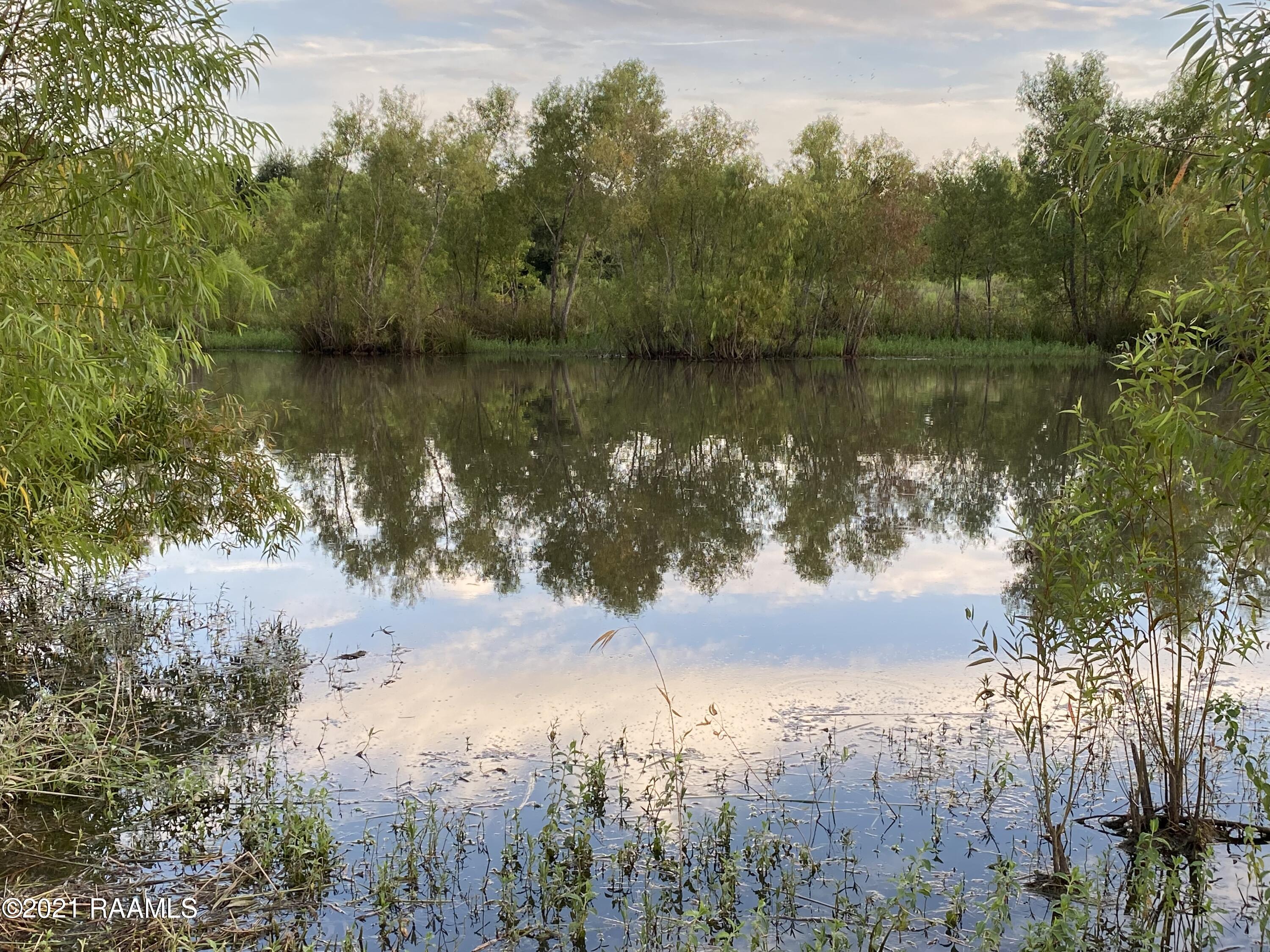 pond additional view