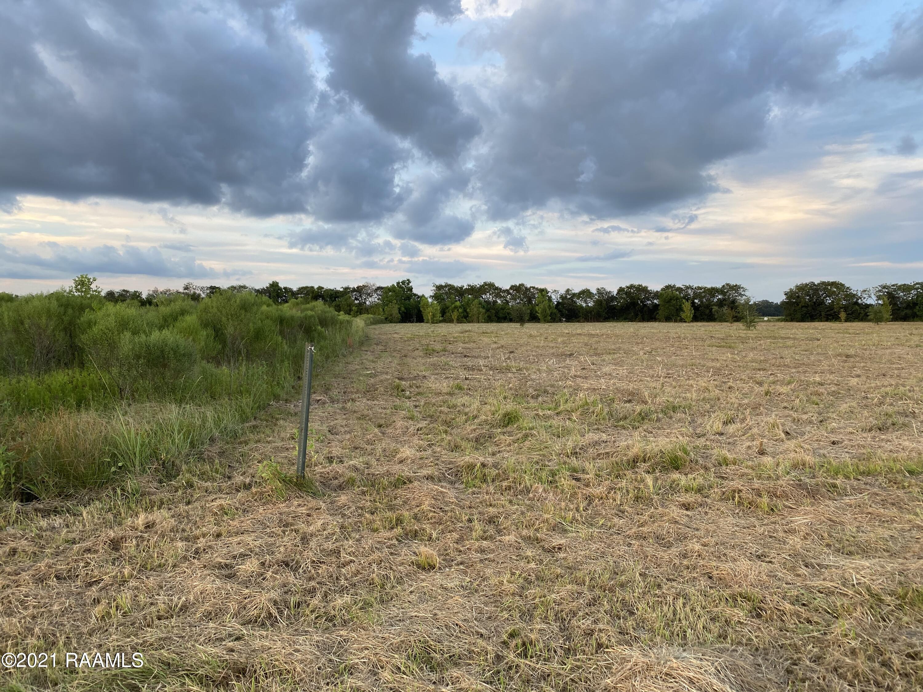 Lot 4 Bird Haven Road Rayne, LA 70578 - Photo 8 of 10 property edge