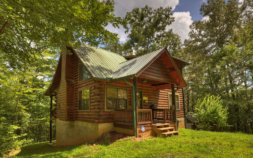 842 Dividing Ridge Road Mineral Bluff, GA 30559 - Photo 1 of 1 Main View