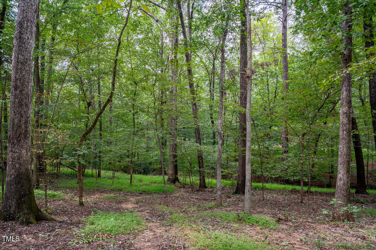 3946 Nottaway Road Durham, NC 27707 - Photo 12 of 18 a view of a forest that has large trees