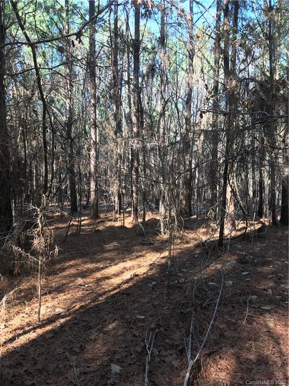 6-acres 6-acres Simpson Road McConnells, SC 29726 - Photo 2 of 29 a view of a yard with a tree