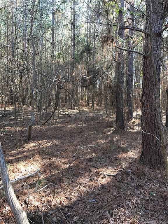 6-acres 6-acres Simpson Road McConnells, SC 29726 - Photo 11 of 29 a view of outdoor space with trees