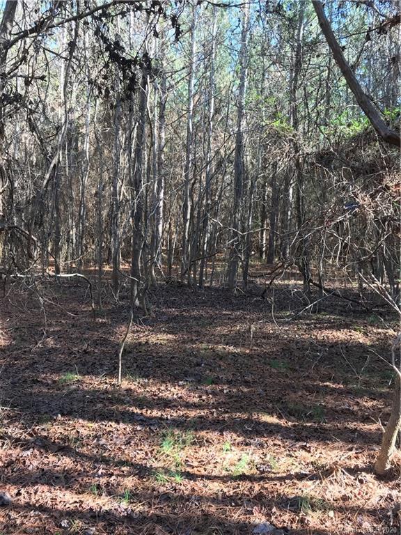 6-acres 6-acres Simpson Road McConnells, SC 29726 - Photo 12 of 29 a backyard of a house with a yard