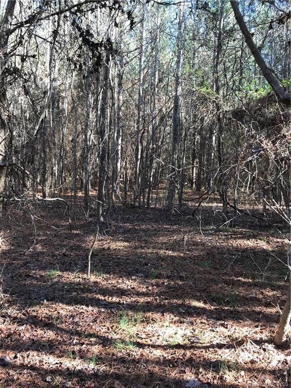 6-acres 6-acres Simpson Road McConnells, SC 29726 - Photo 13 of 29 a backyard of a house