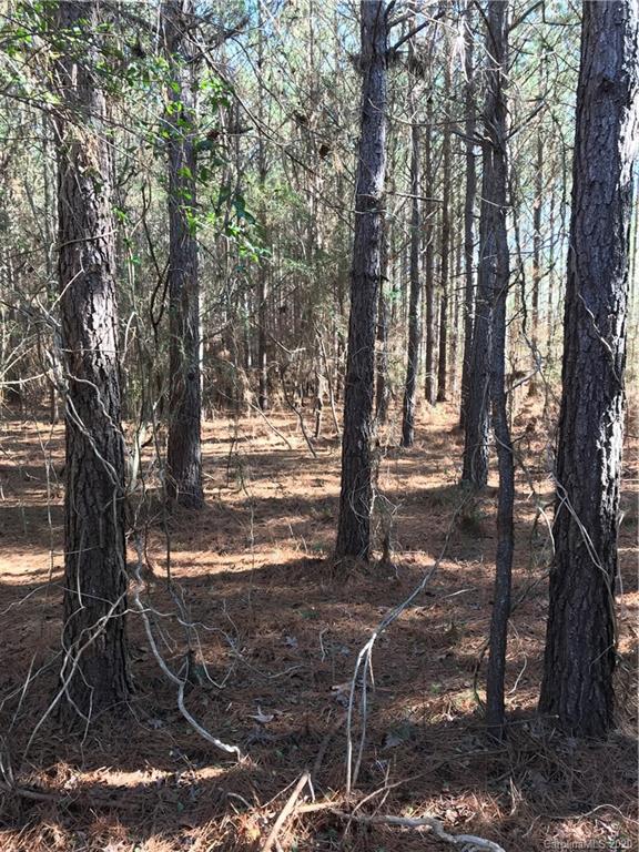 6-acres 6-acres Simpson Road McConnells, SC 29726 - Photo 15 of 29 a view of a yard with trees