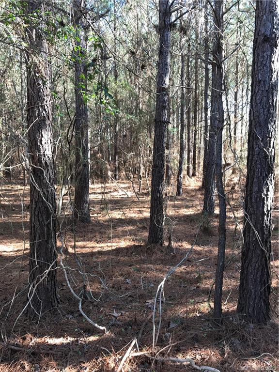 6-acres 6-acres Simpson Road McConnells, SC 29726 - Photo 16 of 29 a view of a yard with trees