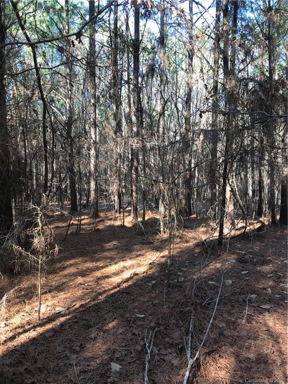 6-acres 6-acres Simpson Road McConnells, SC 29726 - Photo 3 of 29 a view of a yard with a tree