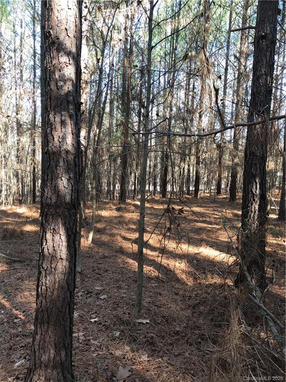 6-acres 6-acres Simpson Road McConnells, SC 29726 - Photo 4 of 29 a view of outdoor space with trees