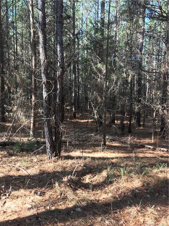 6-acres 6-acres Simpson Road McConnells, SC 29726 - Photo 5 of 29 a view of tree