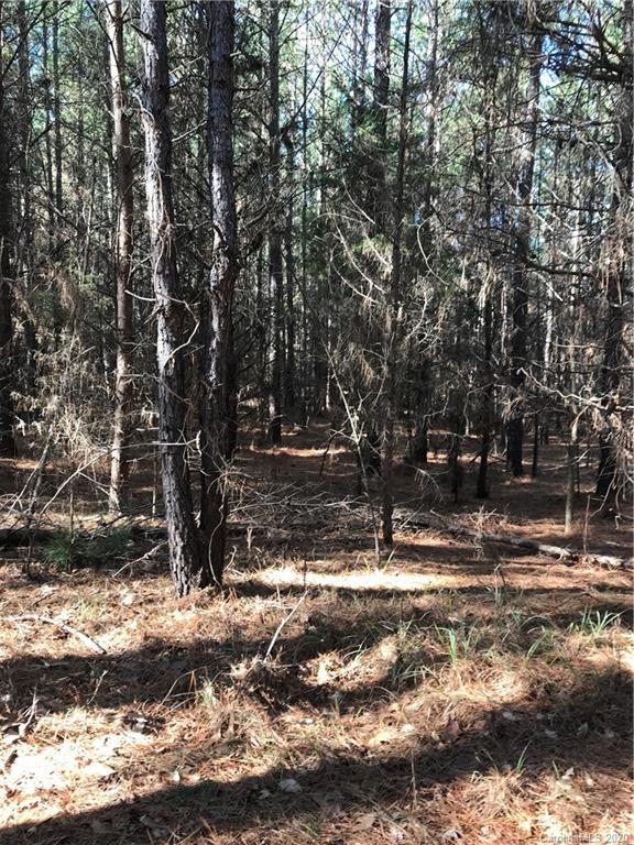 6-acres 6-acres Simpson Road McConnells, SC 29726 - Photo 6 of 29 a view of a yard with a tree