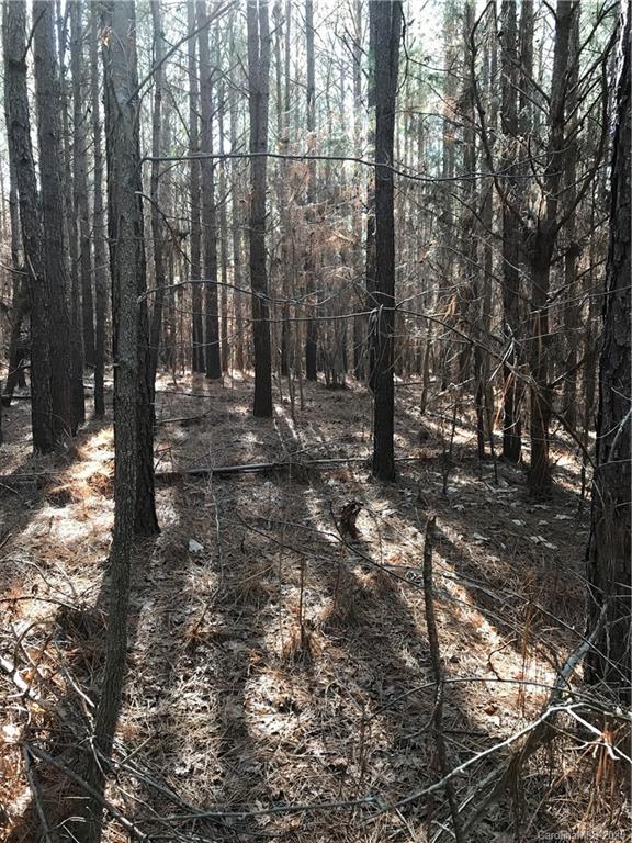 6-acres 6-acres Simpson Road McConnells, SC 29726 - Photo 7 of 29 a view of outdoor space with lots of trees