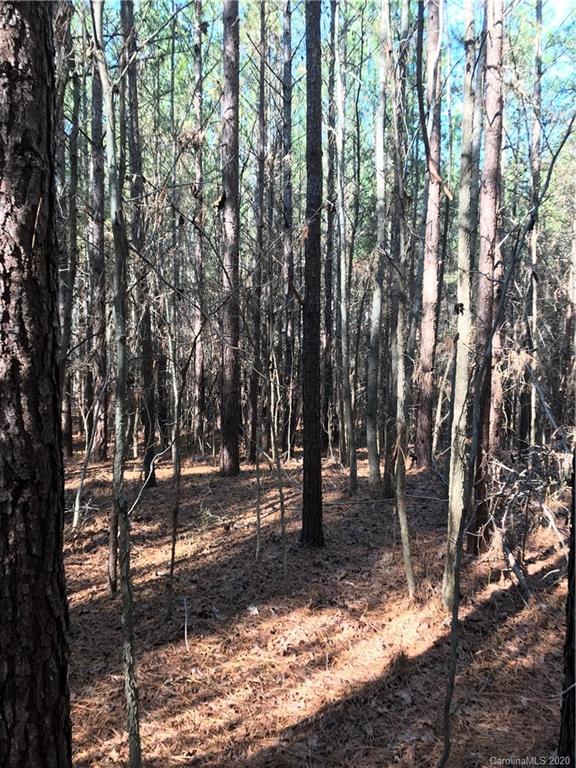 6-acres 6-acres Simpson Road McConnells, SC 29726 - Photo 8 of 29 a view of outdoor space with trees
