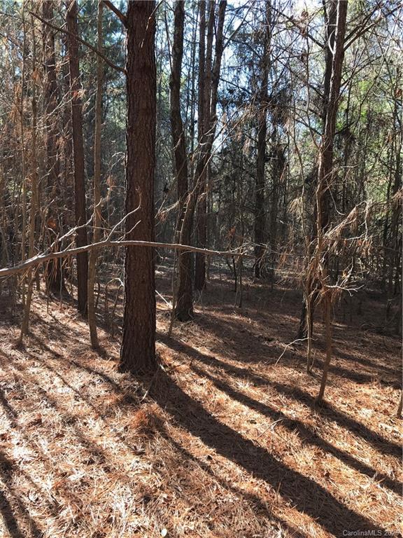 6-acres 6-acres Simpson Road McConnells, SC 29726 - Photo 9 of 29 a view of a forest with trees