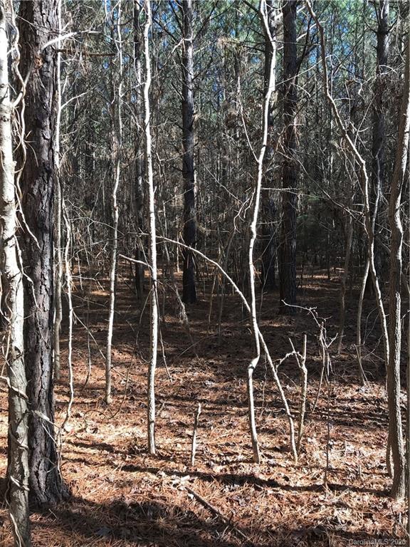 6-acres 6-acres Simpson Road McConnells, SC 29726 - Photo 10 of 29 a backyard of a house with lots of green space