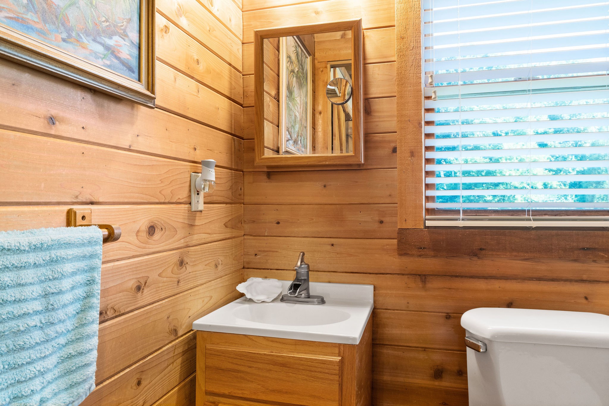 1792 Mosley Ferry Road Chapmansboro, TN 37035 - Photo 17 of 31 Gallery Image 17