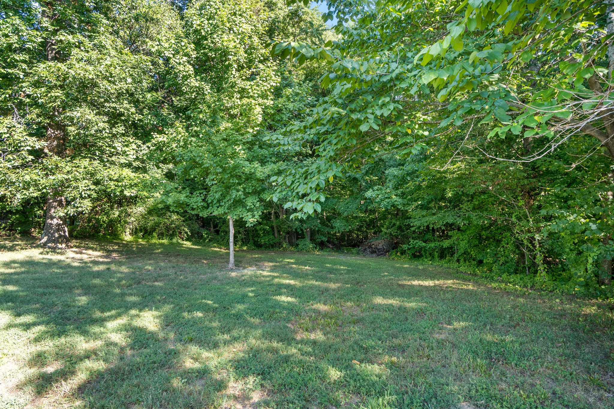 1792 Mosley Ferry Road Chapmansboro, TN 37035 - Photo 27 of 31 Gallery Image 27
