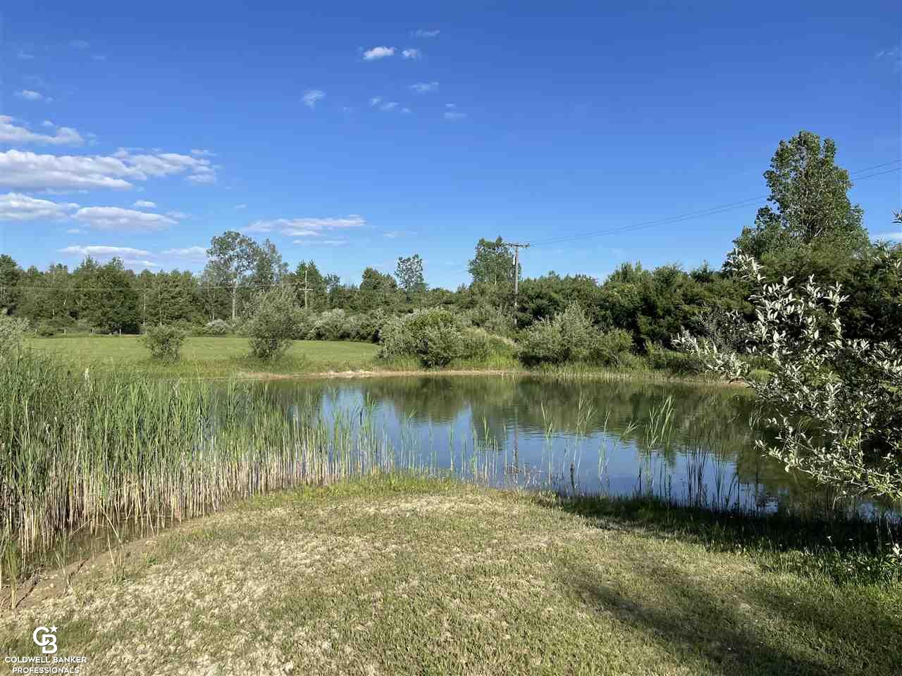 7658 Jordan Road Melvin, MI 48454 - Photo 4 of 82