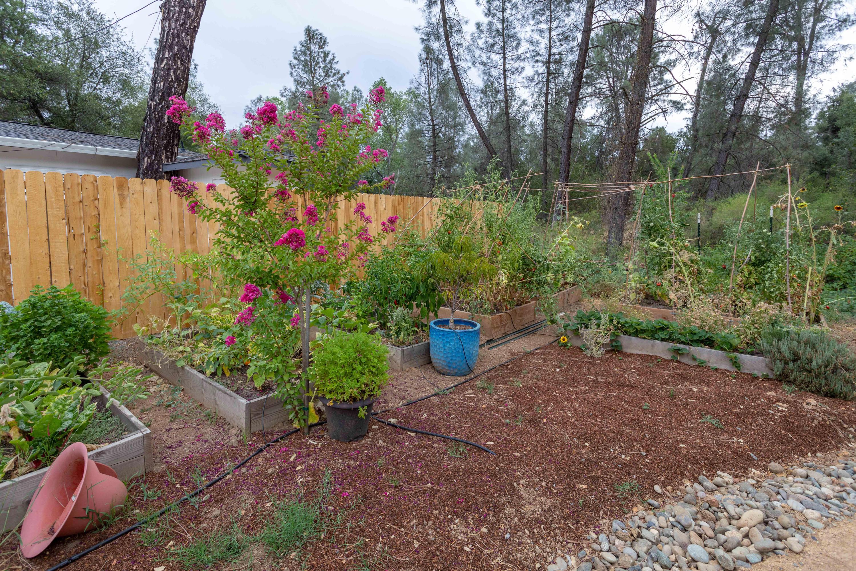 17867 Walker Mine Road Redding, CA 96003 - Photo 37 of 41 a backyard of a house with lots of green space and trees