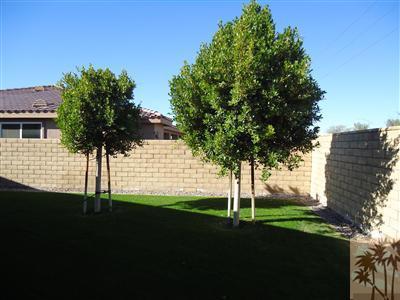 83698 Himalaya Drive Indio, CA 92203 - Photo 8 of 14 a view of a house with a yard