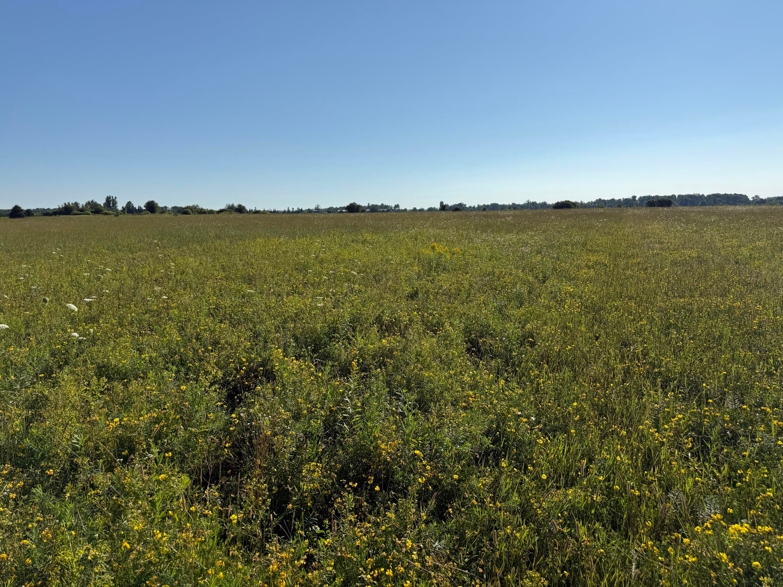 0 South Manila Road Pickford, MI 49774 - Photo 10 of 13 Gallery Image 10
