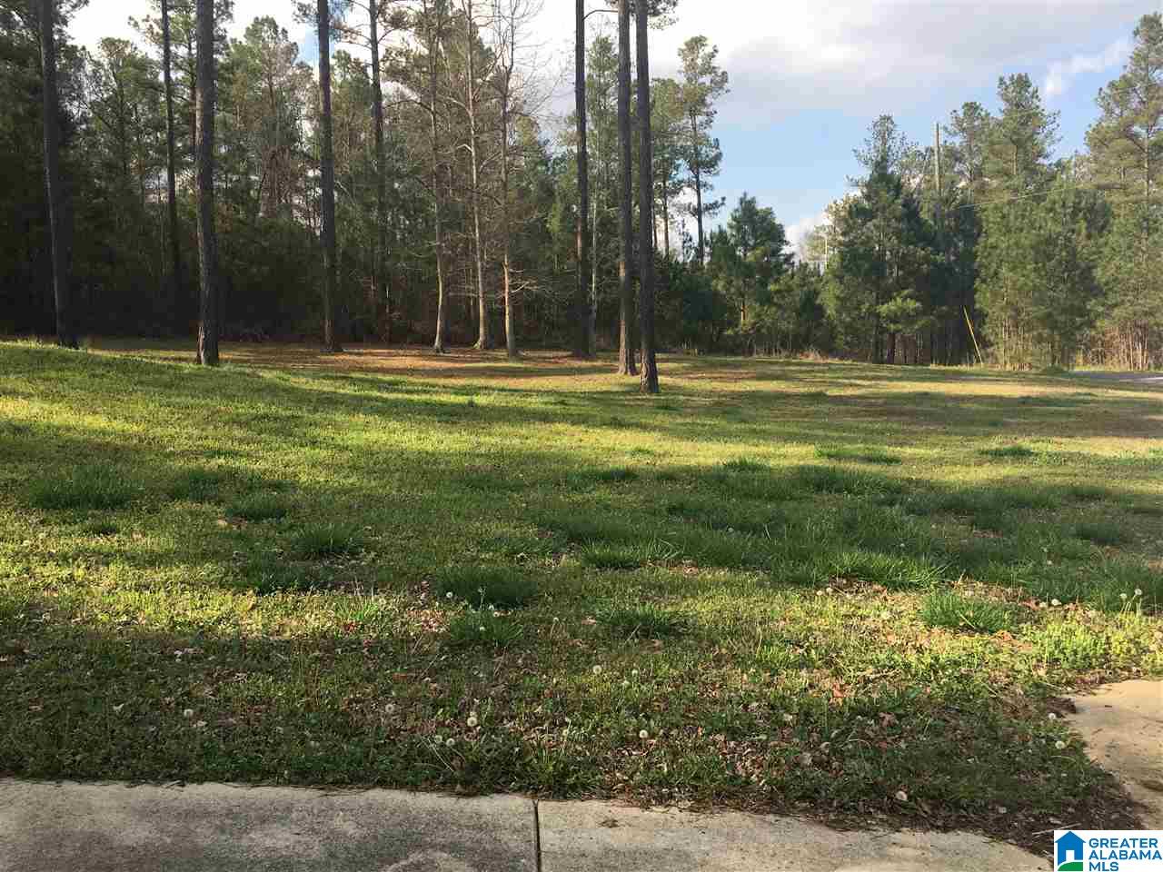 760 Hunters Crossing Road Odenville, AL 35120 - Photo 25 of 25