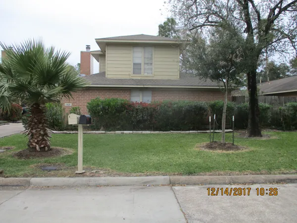 a backyard of a house with plants and large tree