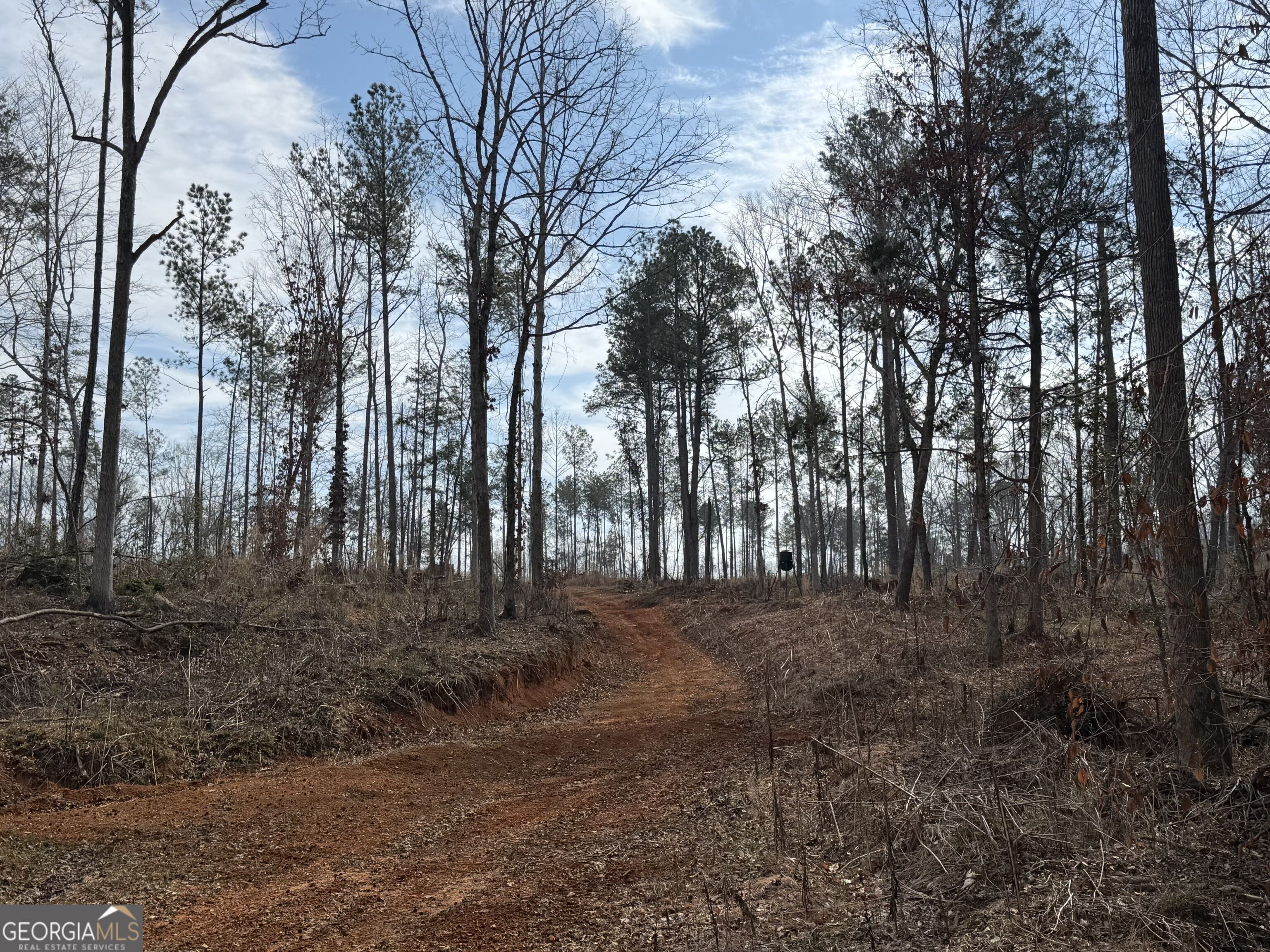 275 Emma Cooper Road Carlton, GA 30627 - Photo 11 of 48