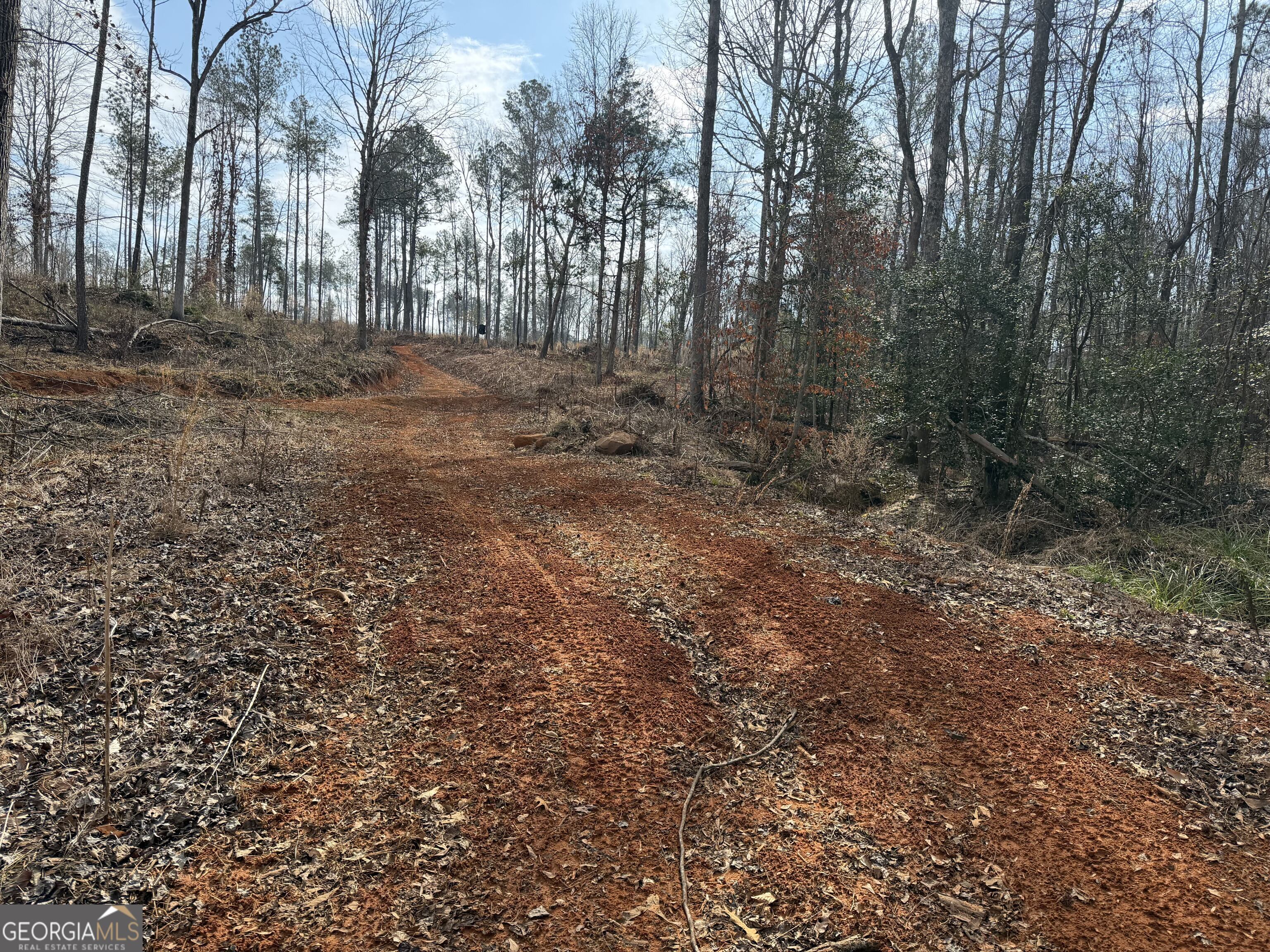 275 Emma Cooper Road Carlton, GA 30627 - Photo 13 of 48