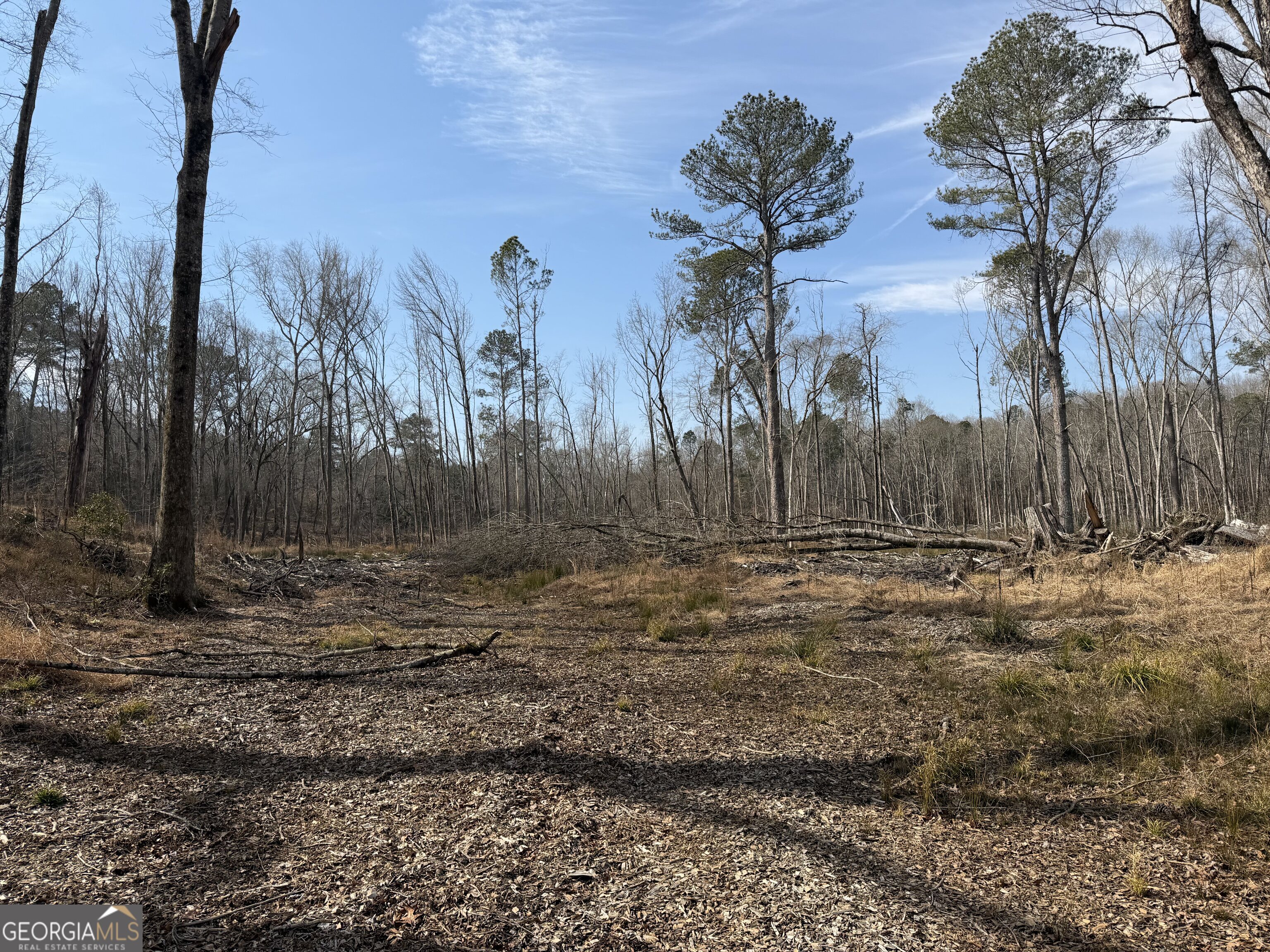 275 Emma Cooper Road Carlton, GA 30627 - Photo 14 of 48