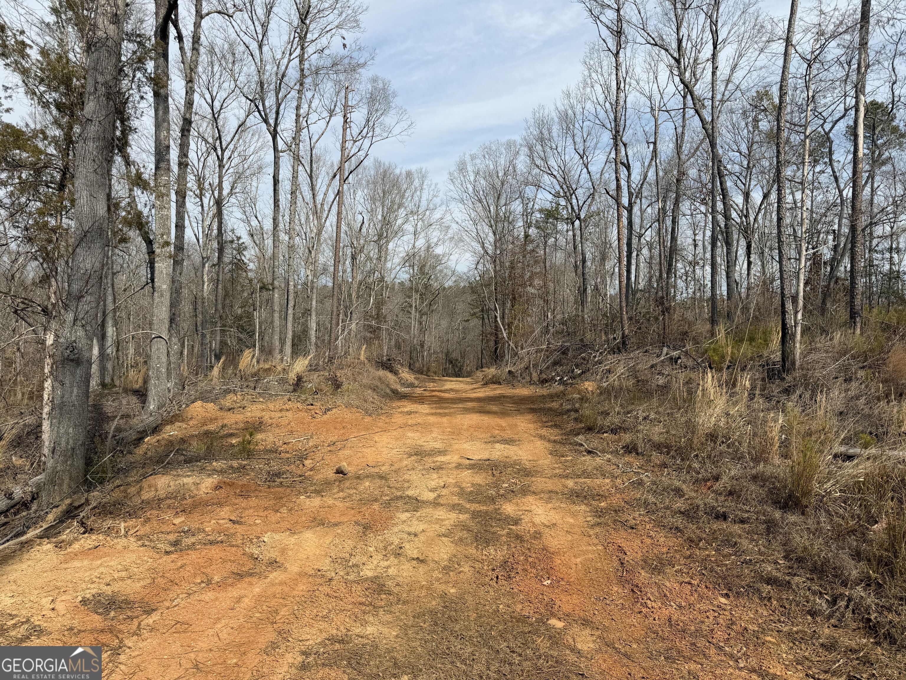 275 Emma Cooper Road Carlton, GA 30627 - Photo 17 of 48