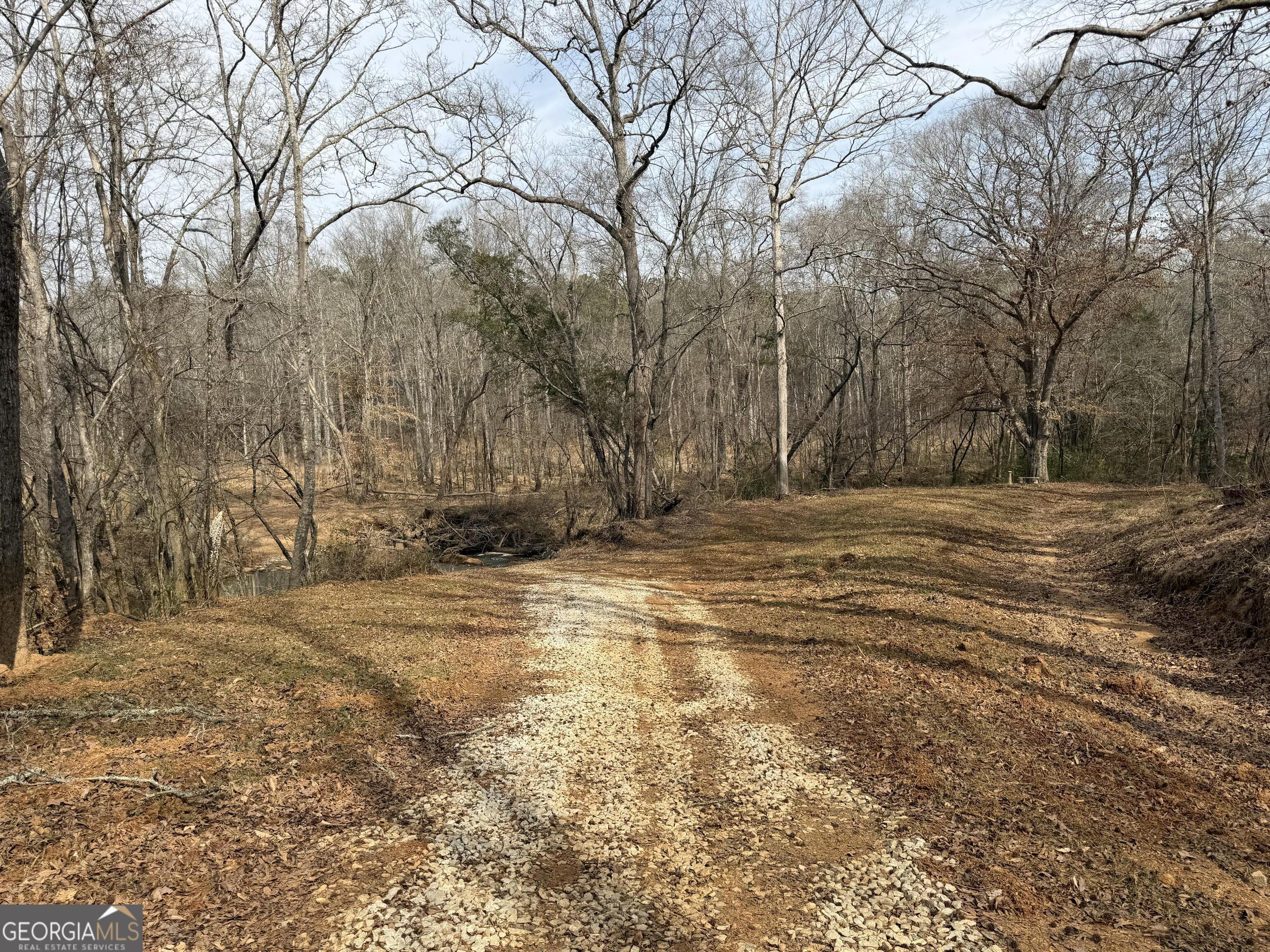 275 Emma Cooper Road Carlton, GA 30627 - Photo 18 of 48