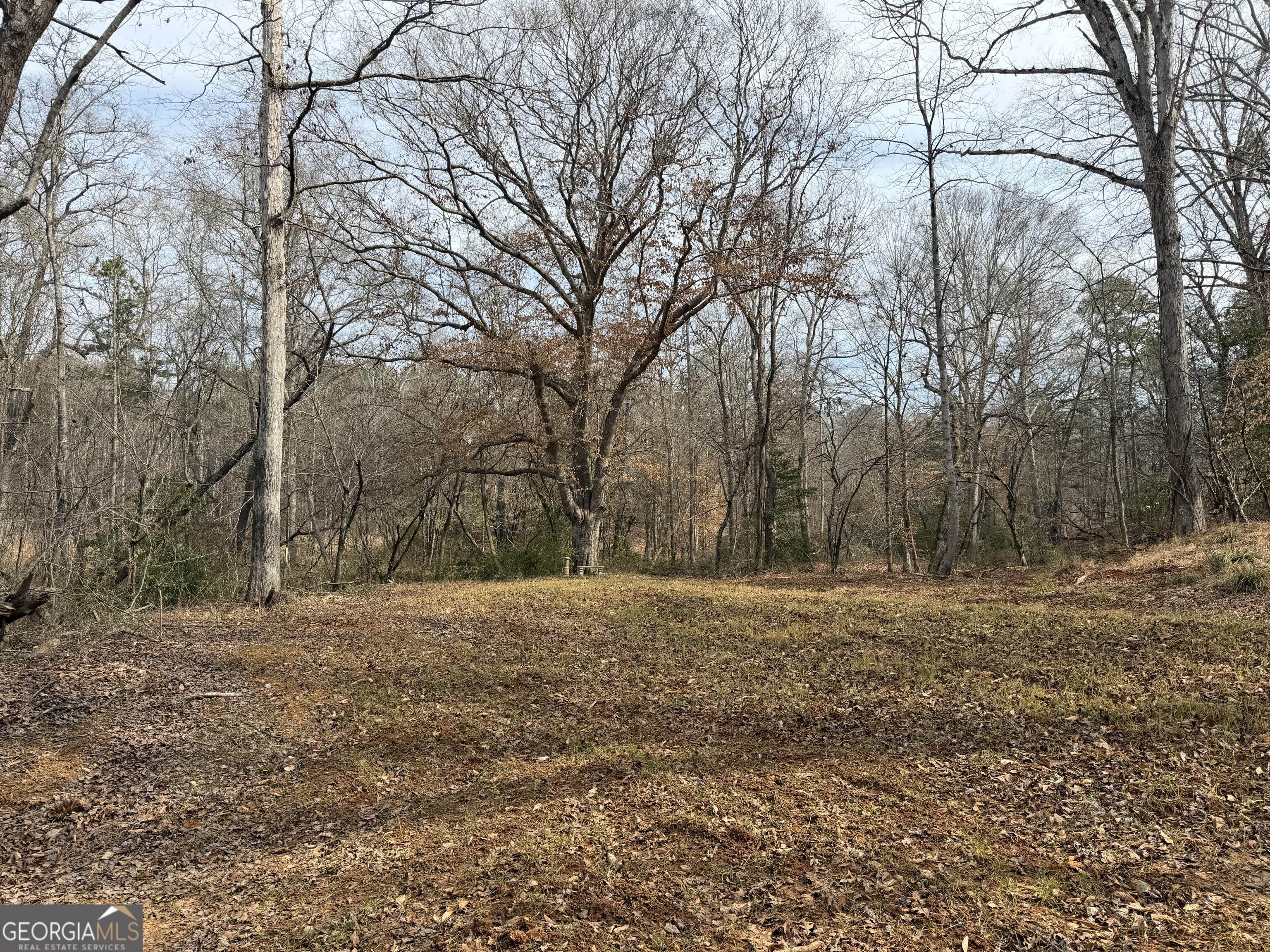 275 Emma Cooper Road Carlton, GA 30627 - Photo 22 of 48