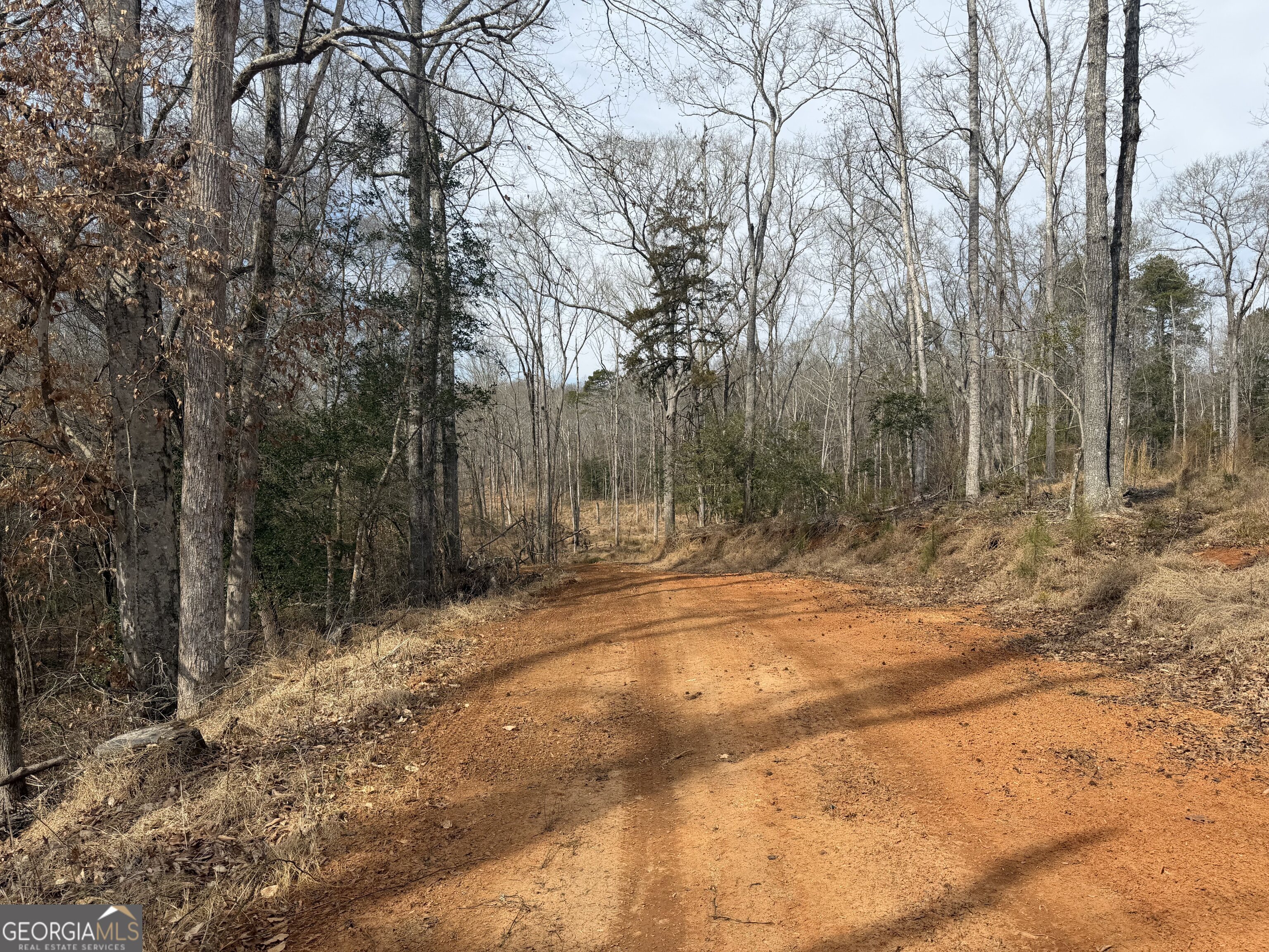 275 Emma Cooper Road Carlton, GA 30627 - Photo 25 of 48