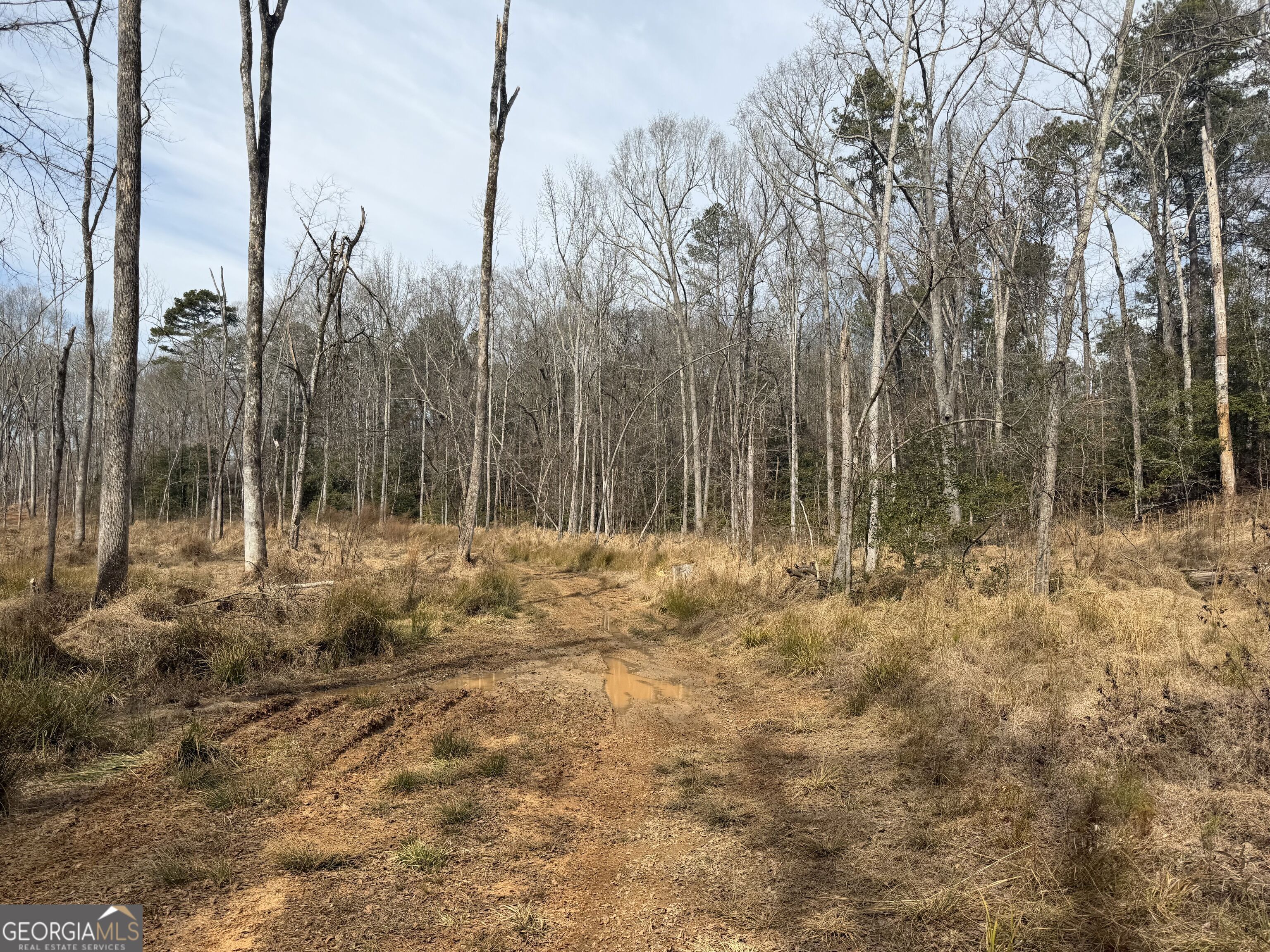 275 Emma Cooper Road Carlton, GA 30627 - Photo 26 of 48