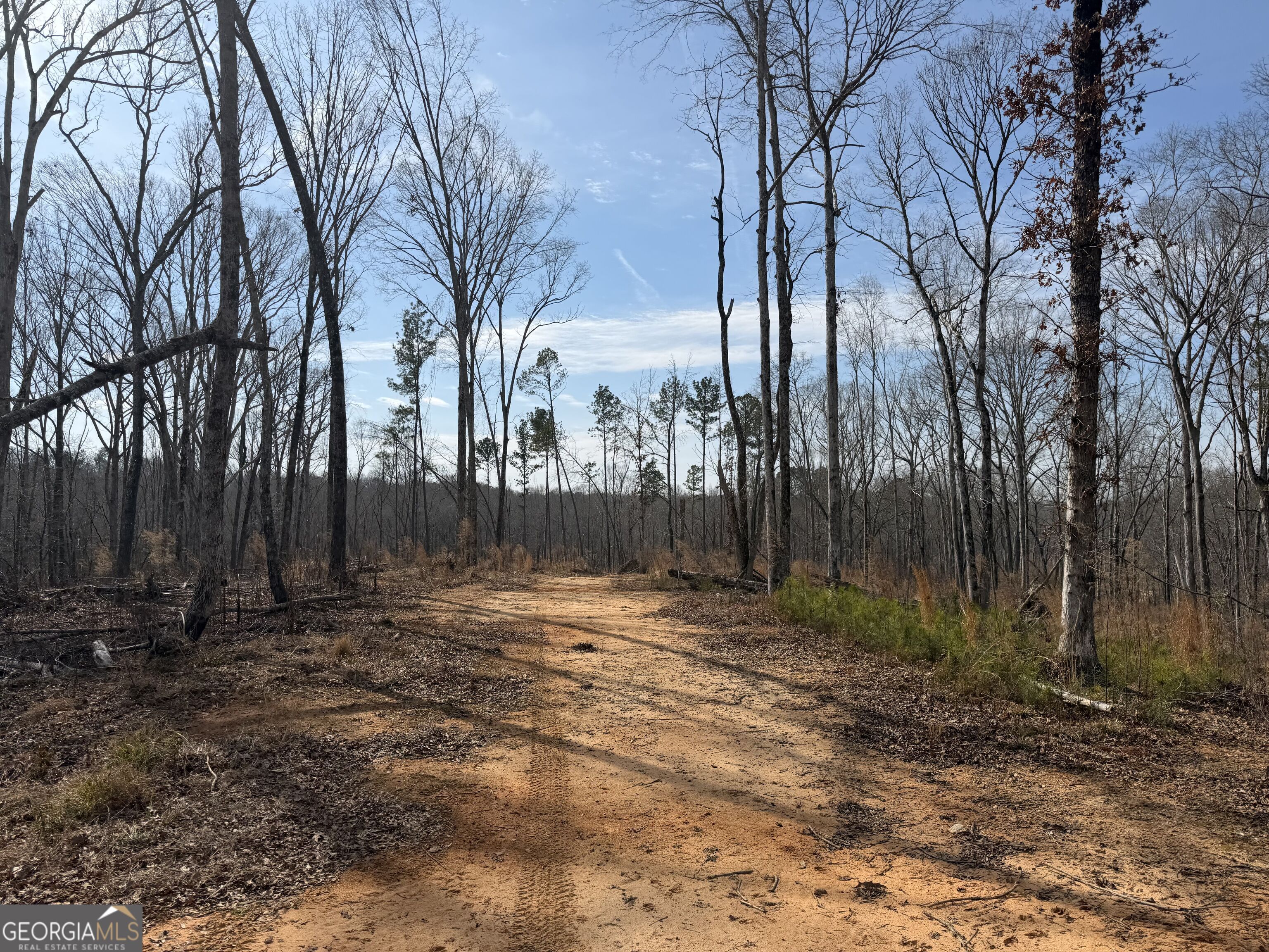 275 Emma Cooper Road Carlton, GA 30627 - Photo 28 of 48