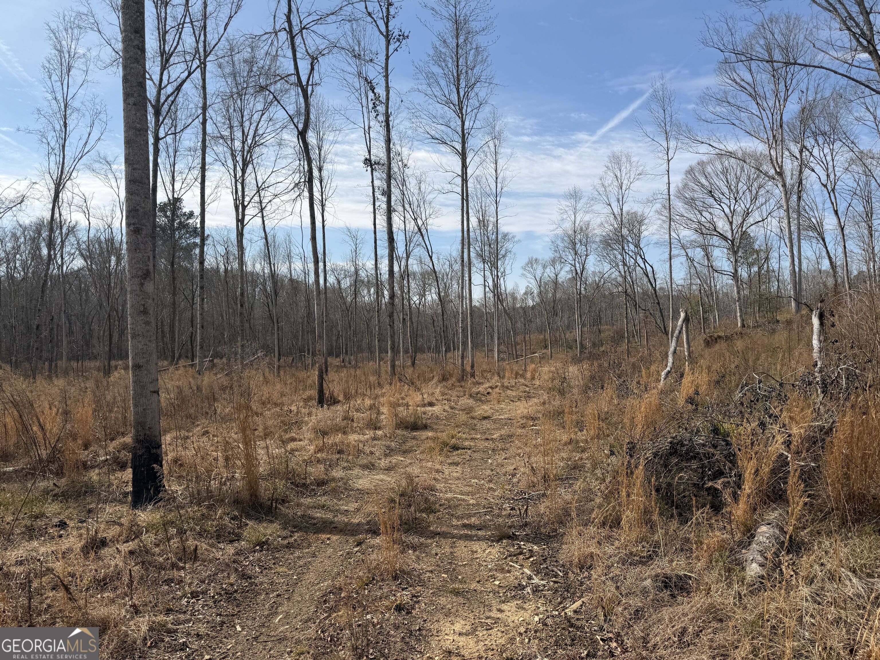 275 Emma Cooper Road Carlton, GA 30627 - Photo 30 of 48