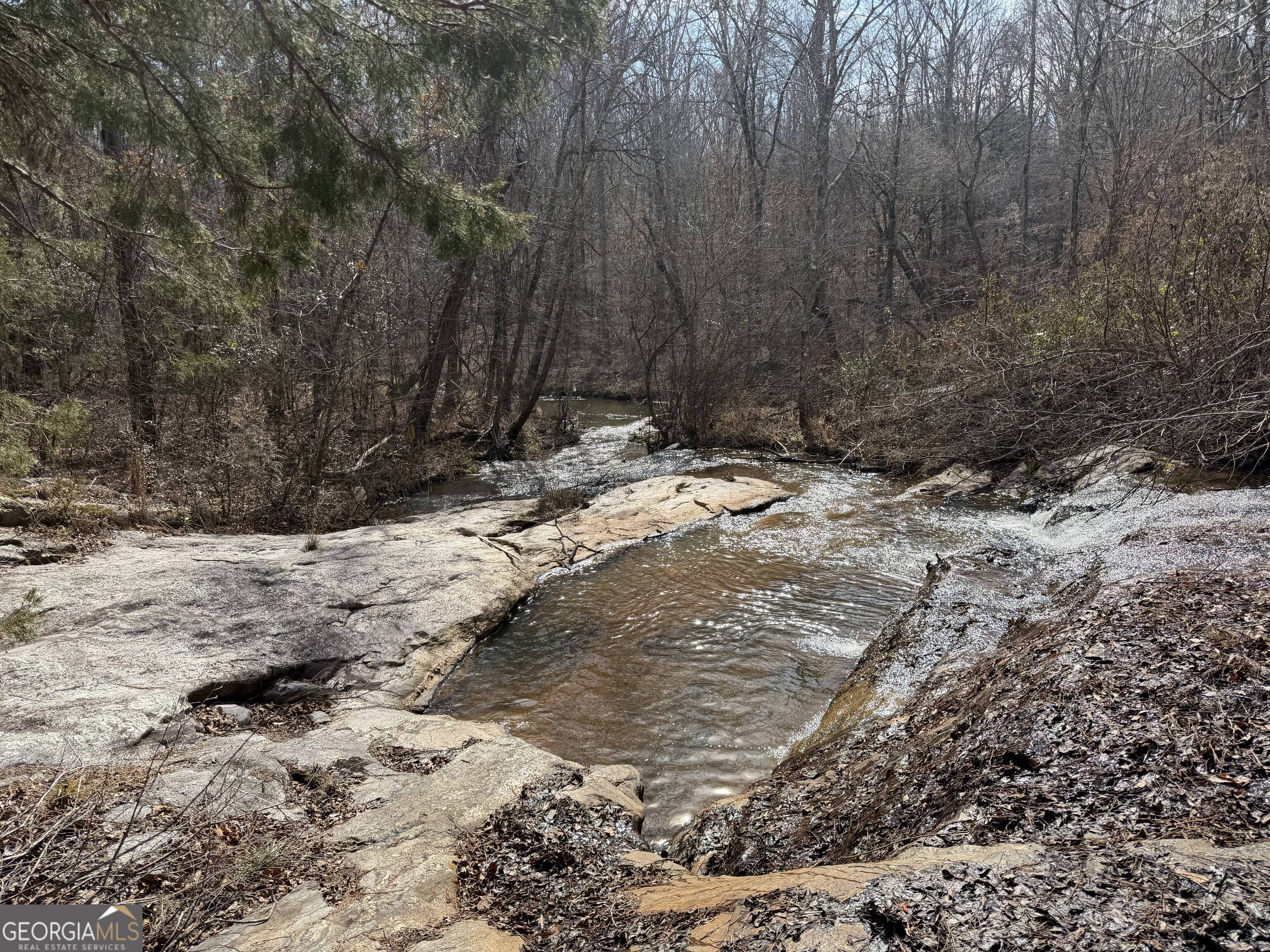 275 Emma Cooper Road Carlton, GA 30627 - Photo 31 of 48