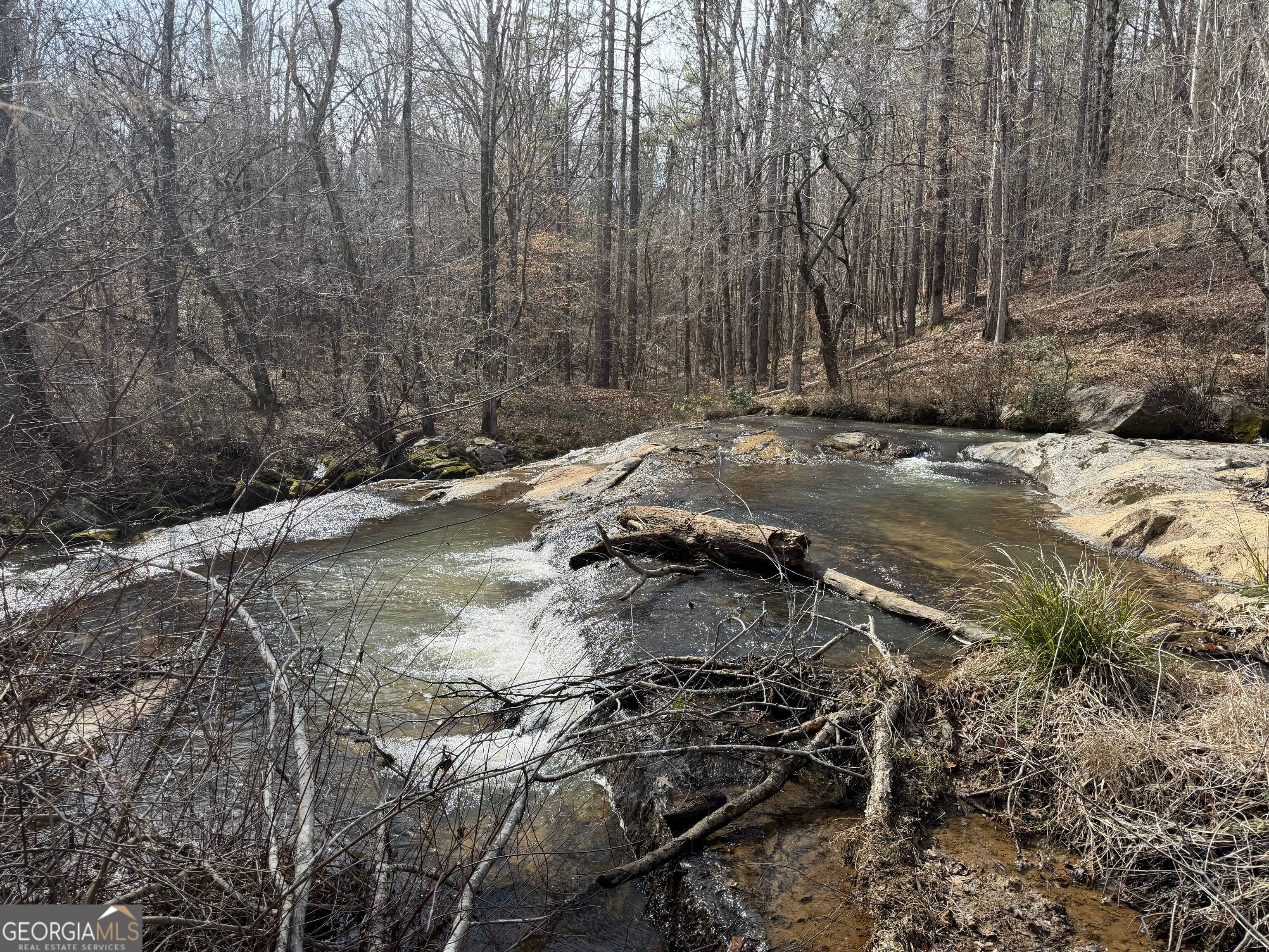 275 Emma Cooper Road Carlton, GA 30627 - Photo 35 of 48