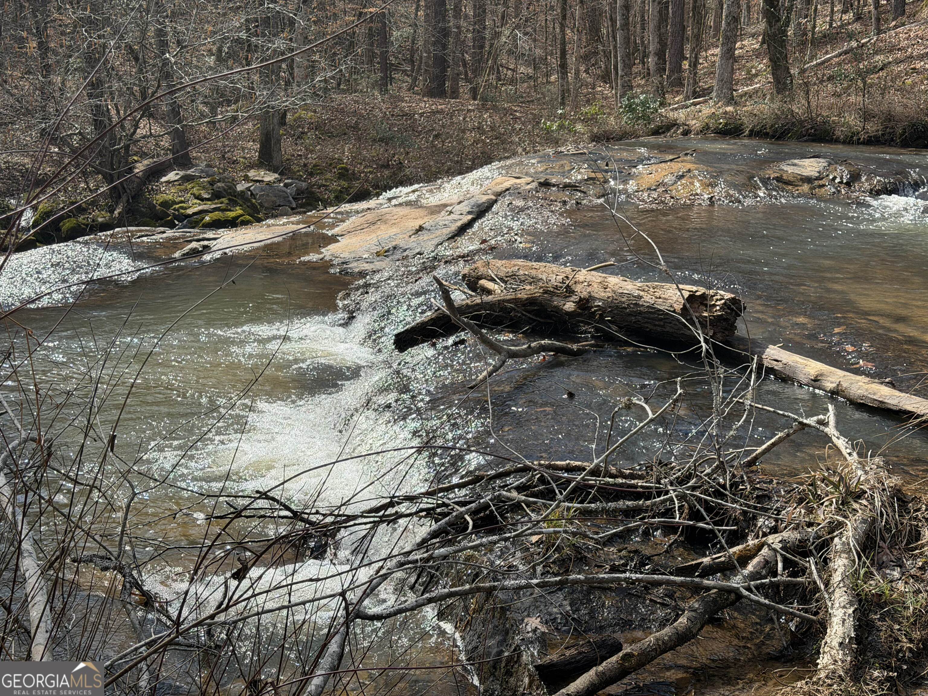 275 Emma Cooper Road Carlton, GA 30627 - Photo 36 of 48