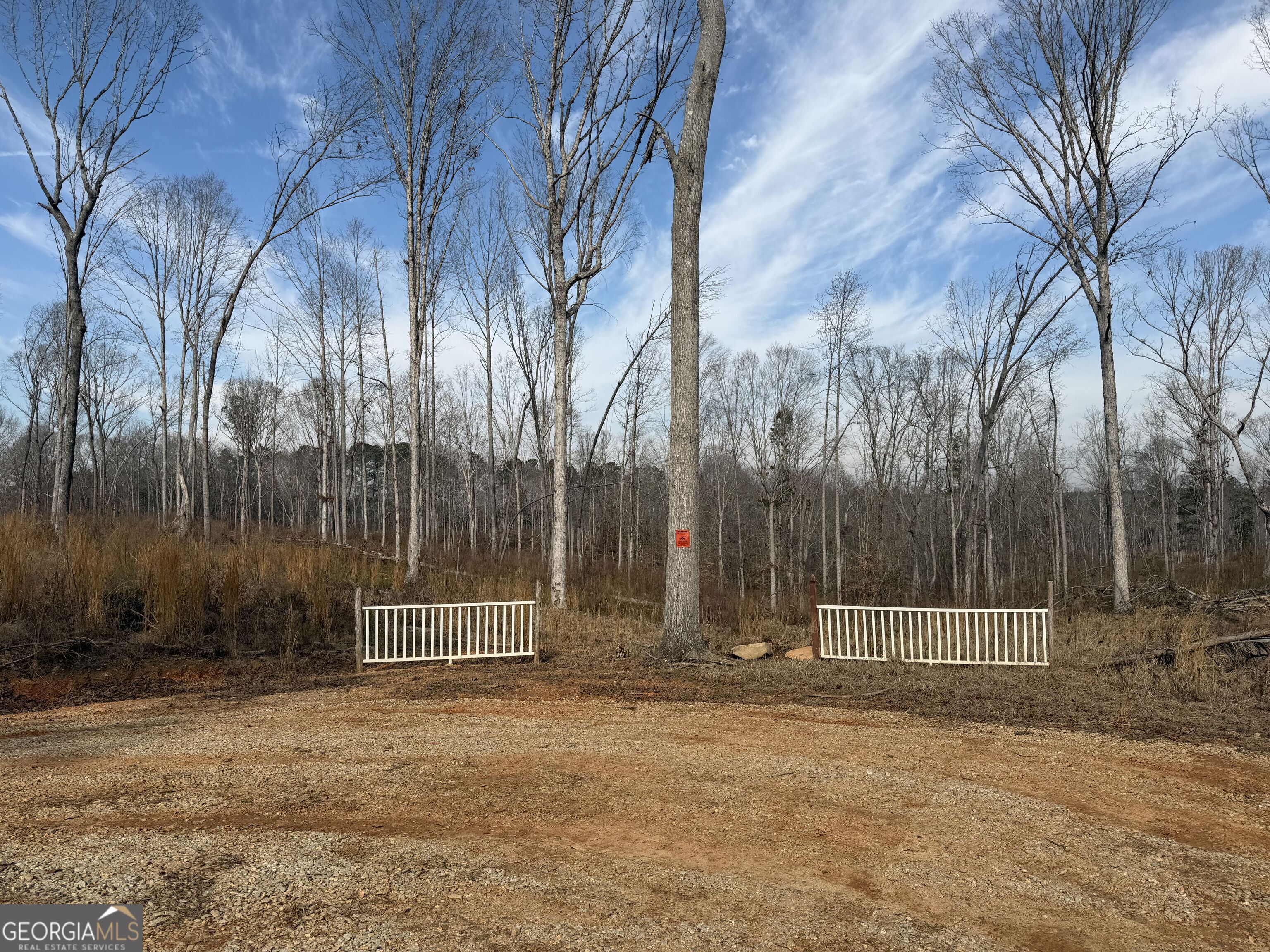 275 Emma Cooper Road Carlton, GA 30627 - Photo 4 of 48