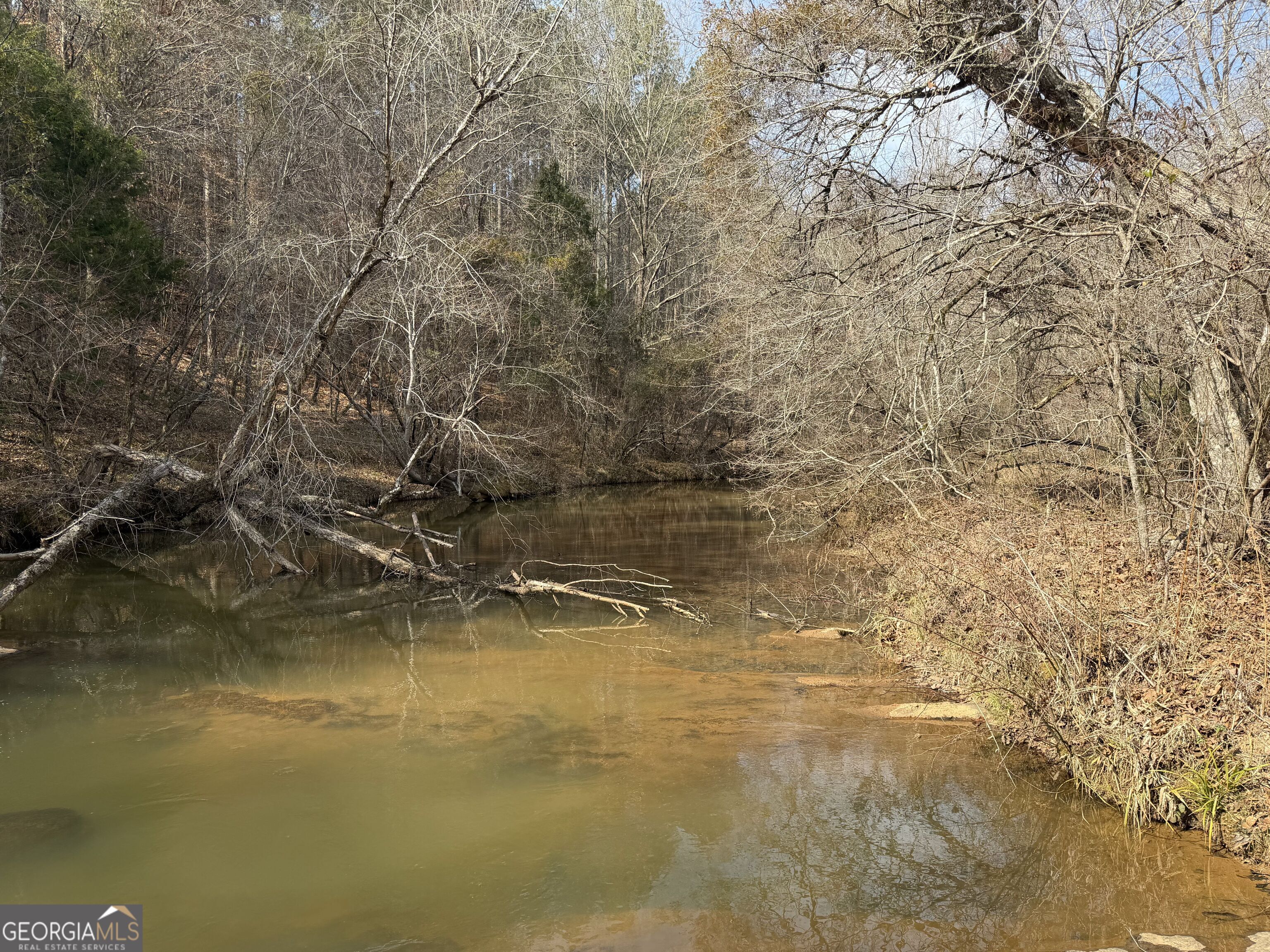 275 Emma Cooper Road Carlton, GA 30627 - Photo 43 of 48