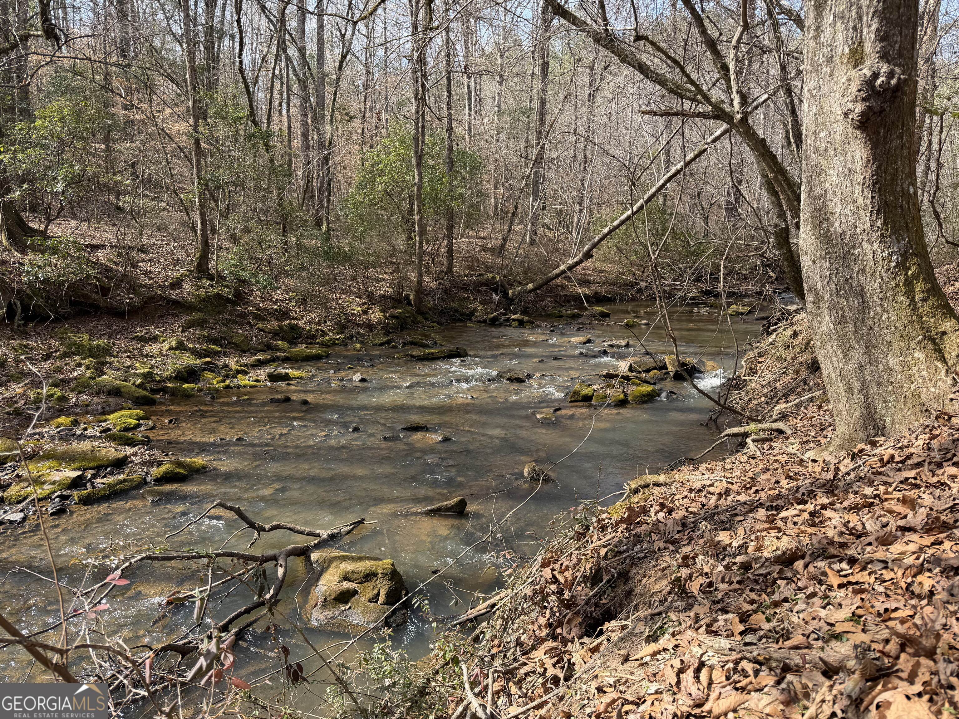 275 Emma Cooper Road Carlton, GA 30627 - Photo 45 of 48