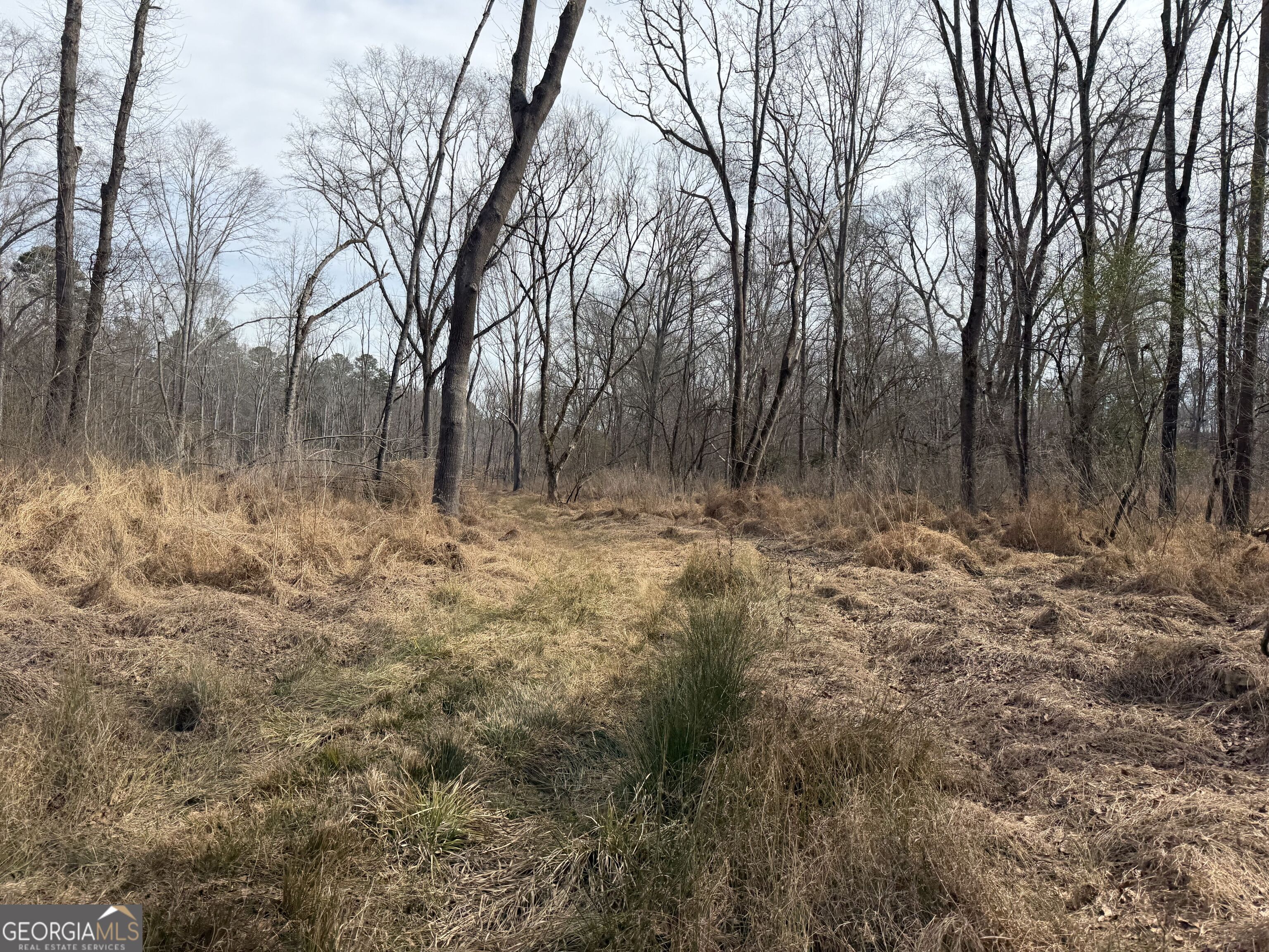 275 Emma Cooper Road Carlton, GA 30627 - Photo 46 of 48