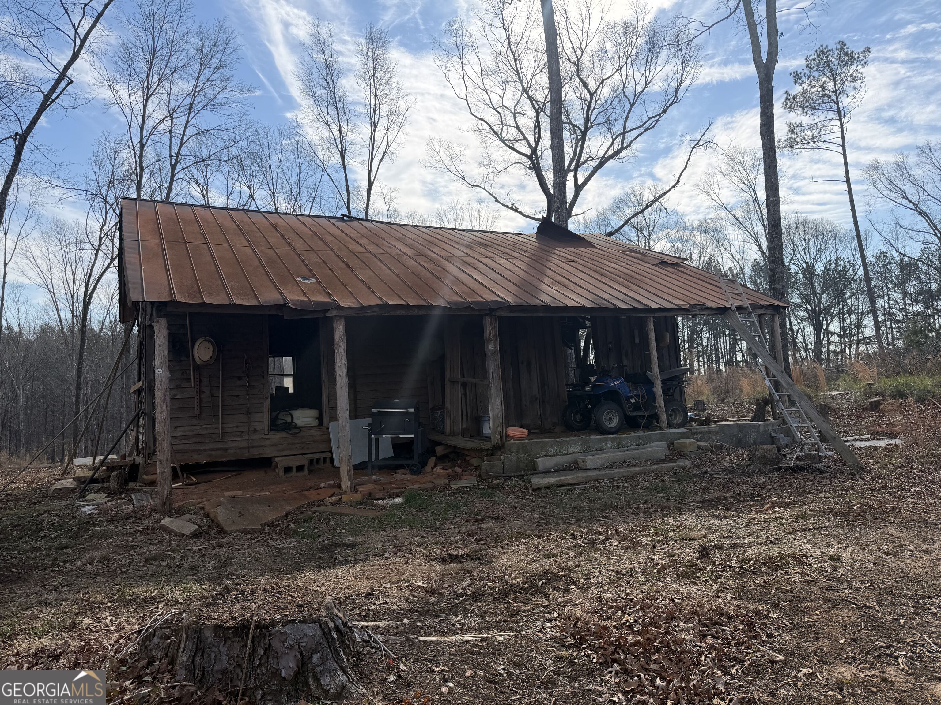 275 Emma Cooper Road Carlton, GA 30627 - Photo 6 of 48