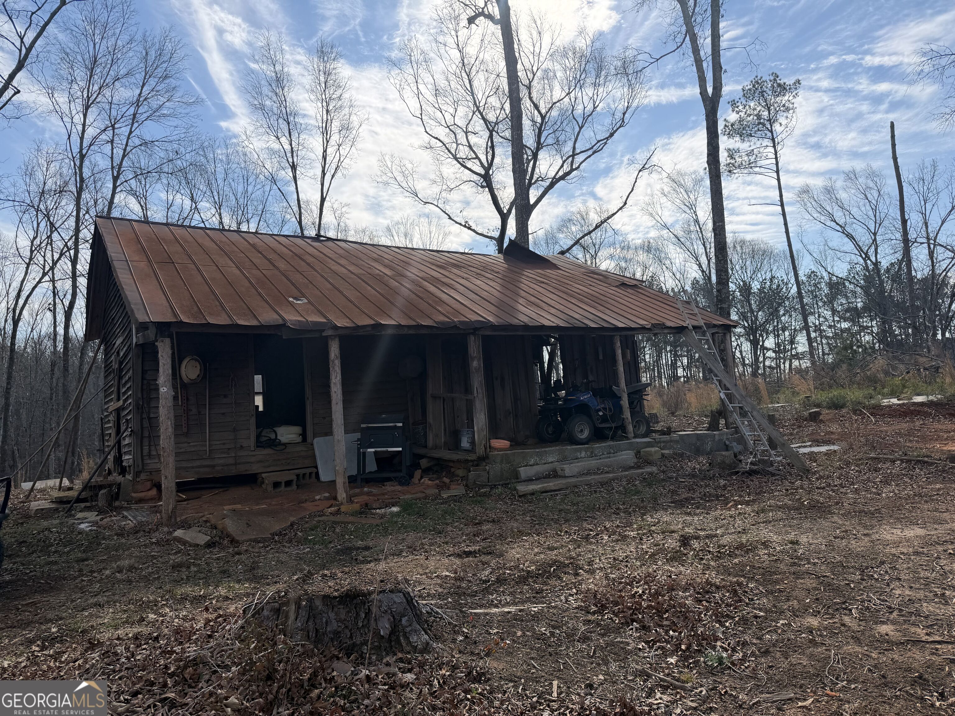 275 Emma Cooper Road Carlton, GA 30627 - Photo 7 of 48