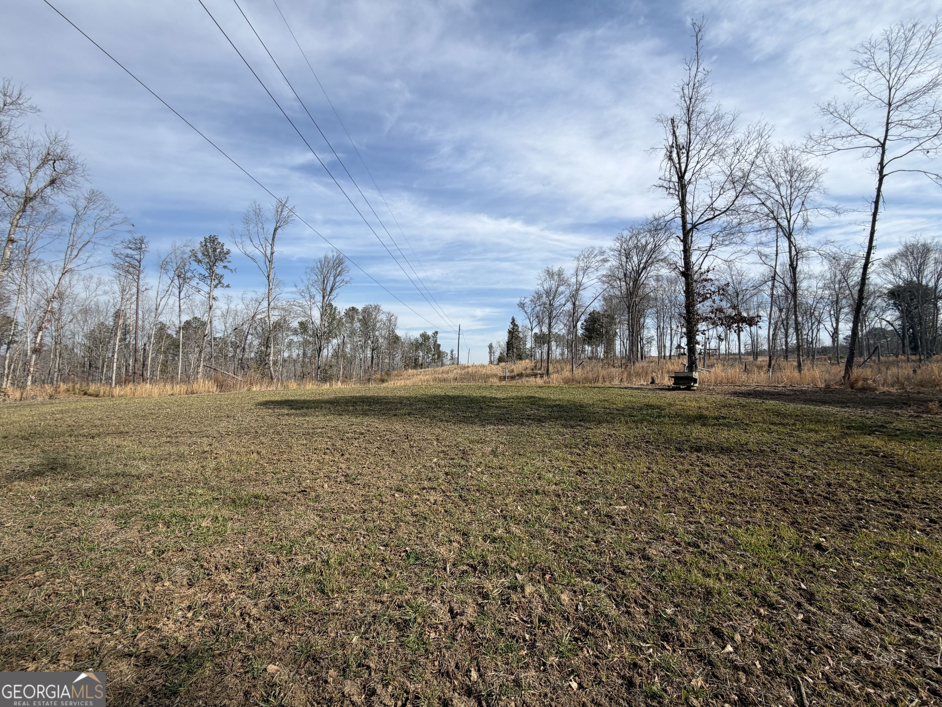 275 Emma Cooper Road Carlton, GA 30627 - Photo 8 of 48