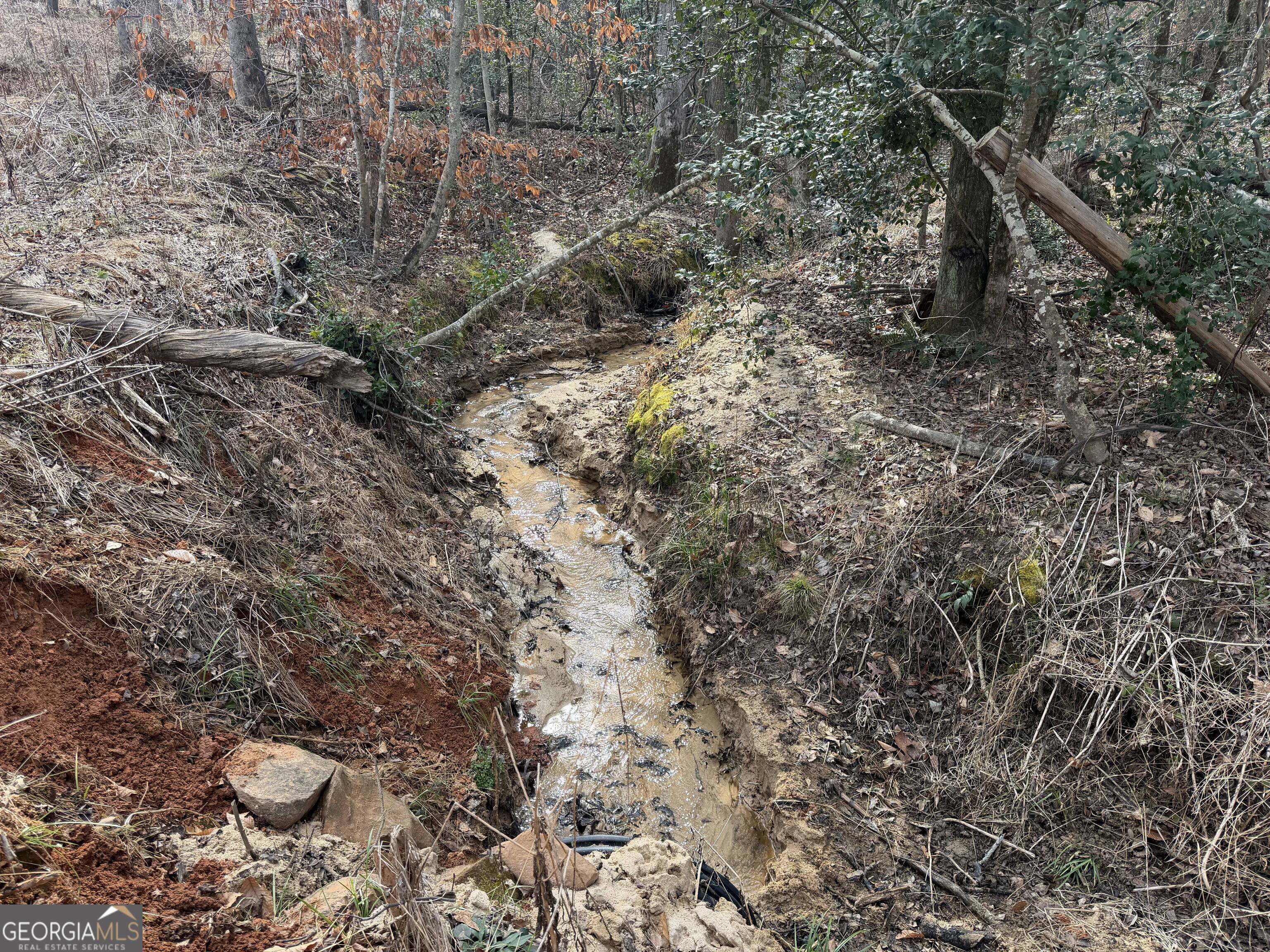 275 Emma Cooper Road Carlton, GA 30627 - Photo 10 of 48