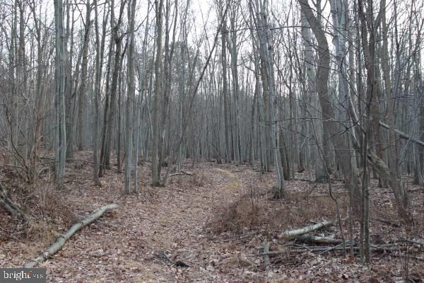 721 Rutter Road Halifax, PA 17032 - Photo 2 of 9