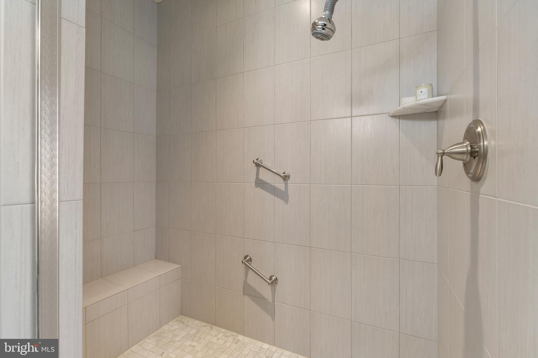 2857 Dragon Fly Way Odenton, MD 21113 - Photo 10 of 33 Primary Bathroom suite spa- shower. Main Level