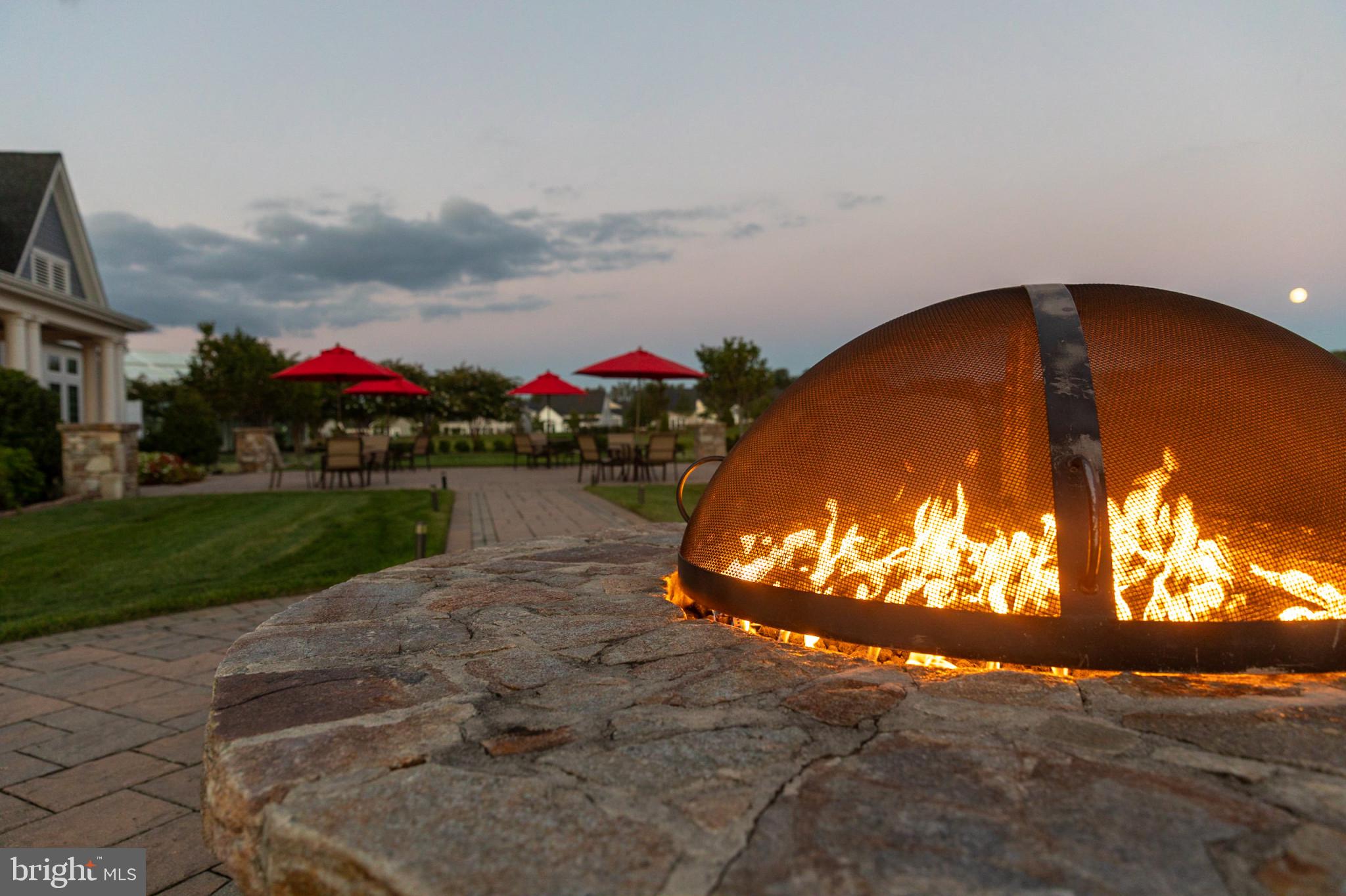 2857 Dragon Fly Way Odenton, MD 21113 - Photo 28 of 33 Quite moments by the fire